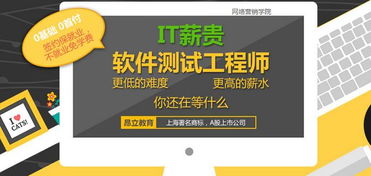 上海軟件測(cè)試與軟件開(kāi)發(fā)工程師市場(chǎng)行情及技能提升路徑探析
